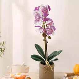 Ekhasa Pink 1 Pieces Orchid Bonsai Artificial Flower With Pot-image-25