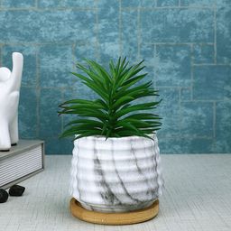 Myntra Elegant Homes White 1 Pieces Artificial Plant With Pot-10