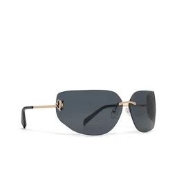 ALDO Women Aviator Sunglasses-image-24