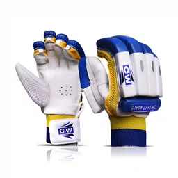 CW Men Cricket Batting Gloves-image-13