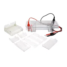 BR Biochem 15x10 cm Maxi Horizontal Electrophoresis System, SC-1520-44