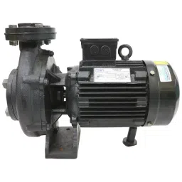 CG 1.5 HP Single Phase Centrifugal Monoblock Pumps, CGXMB1580N-picture-29