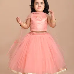 Titrit Sleeveless Embellished CholiNet Lehenga & Dupatta - Pink-picture-27