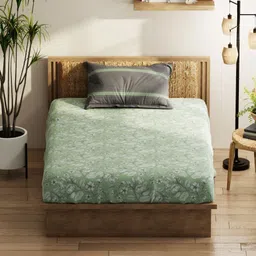 KOPA Green & Grey Floral 152 TC Queen Bedsheet with 2 Pillow Covers-image-42
