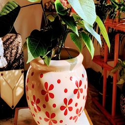 NIYARA White & Red Printed Ceramic Planter-31
