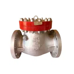 TS Flow 300 mm CF8M Flanged End Full Port Opening and Bolt Cover Swing Check Valve Class- 300-picture-36