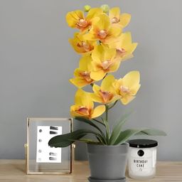 Royaloak Orange 1 Pieces Artificial Flower With Pot-image-25