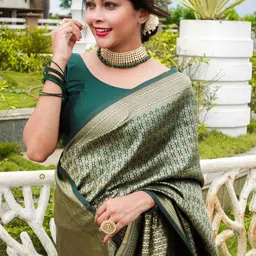Areca Designer Zari Pure Silk Banarasi Saree-image-99