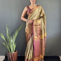Panzora Woven Design Zari Saree-image-78