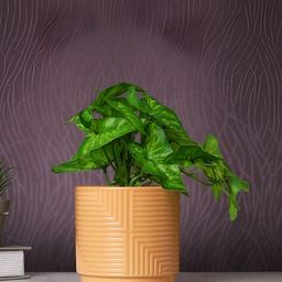 TAYHAA White 1 Pieces Bonsai Artificial Plant With Pot-10
