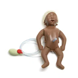 A-ONE SCIENCE PVC New Born Baby Simulator AOSBM296-picture-43
