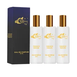 riffway Men Set Of 3 Paradox Long Lasting Eau De Parfum- 20 ml Each-0