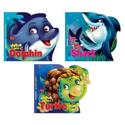 Informative Board Books Set of 3 - English-6