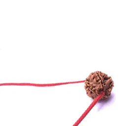 RAVIOUR LIFESTYLE Spherical Pendants-image-99