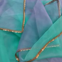Organza Self Design Light Green, Grey Women Dupatta-image-55