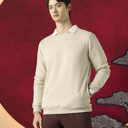 Peter England Casuals Men Round Neck Pullover Sweatshirt-picture-28