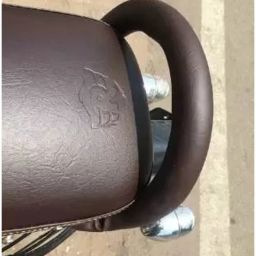 Passenger Backrest-1