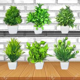 Artificial Mix Green Decorative Mini Pots Pack of 1 For Best Showing Decors Bonsai Wild Artificial Plant with Pot-image-57