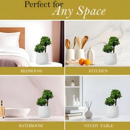 Kuber Industries White & Green 4 Pieces Artificial Plants With Pot image 2