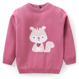 Babyhug Knitted Full Sleeves Pullover Sweater with Sequin Detailing & Squirrel  Design - Pink-image-31