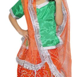 Kaku Fancy dresses Girls Navratri Garba Dance Costume Top With Skirt & Dupatta image 4