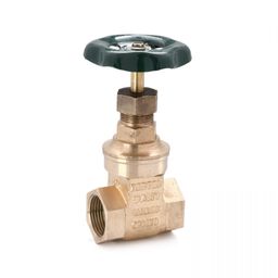 Sant 50 mm Bronze Gate Valve SBM 1-image-94