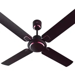 Bajaj Regal Gold NXG Wine Red 1200 mm Ceiling Fan 251029-image-45