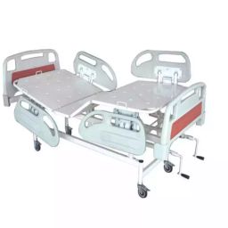 RM Social Fowler Type Hospital Bed with Abs Panels, RM056-19