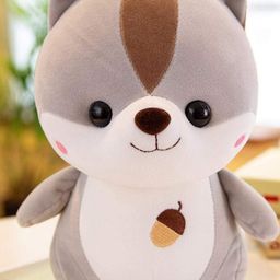 Little Hunk Squirrel Super Soft toy -Height 25 cm(Colour May Vary)-17