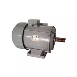 Chetak Electrical Single Phase 2 HP 4 Pole Foot Mounting RIP Body Type Induction Motor-image-17