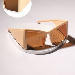 French Accent Men Other Sunglasses with Polarised Lens-11