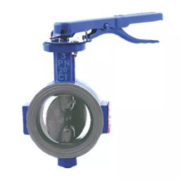 Leader 8 inch, 200 mm E Cast Iron Motorised Butterfly Valve, CI 091-image-28