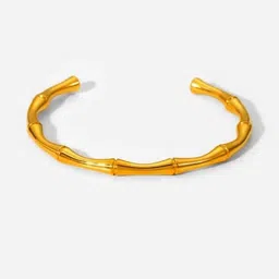 Lady Raiment Stainless Steel Gold-plated Kada-image-2