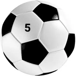 Black and white Football Size-5 with Needle.. Football - Size: 5-image-26