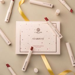 Carlton London Matte Lipstick - 4g - Begonia-31