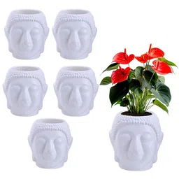 Kuber Industries 6Pcs White Lord Buddha Shaped Flower Planters-53