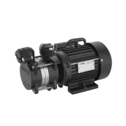 Silver 1 HP Single Phase Self Priming Monoblock Pump Set, DELUX 100-29