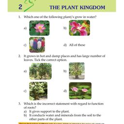 Scholars Hub Olympiad Book Combo For Class 3 English Olympiad Challenger Science Olympiad Challenger & Maths Olympiad Munch Set of 3 - English image 3