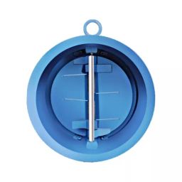 Leader 10 inch, 250 mm Ductile Iron Dual Plate Check Valve, DI 083-image-35