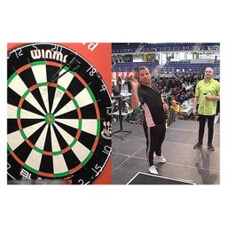 Sanjary Dart Board Dart Arrow Set 4 Arrows Hard Dart Board Double-Sided Party Games Color May Vary-20