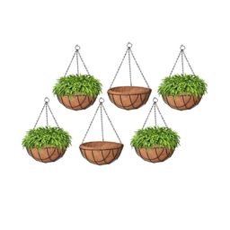 10 Inch Coir Hanging Basket with Metal Hanging Chain-83