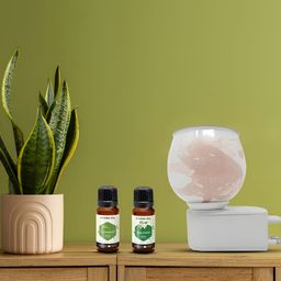 PEEPALCOMM 3Pc Peach-Colored Electric Aroma Oil Diffuser With Scented Oils 15 ml Each image 2
