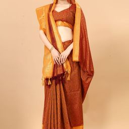 DIVASTRI Woven Design Zari Silk Cotton Ikat Saree-44