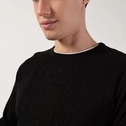 Thomas Scott Round Neck Self Design Pullover Sweater-picture-18