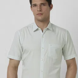 Peter England Men Slim Fit Spread Collar Textured Cotton Formal Shirt-picture-24