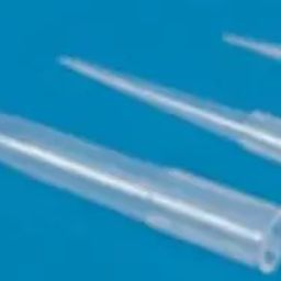 Tarson 521032 Polypropylene 5 ml Macro Tip-image-3