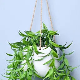 MARKET99 White Cylindrical Shaped Hanging Planter-22
