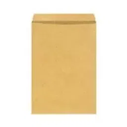 Peace Plain Kraft Laminated (Indise film) Paper Envelope 120 GSM 14"X10" (Pack of 100)-30