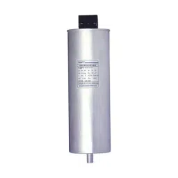 Chint Cylindrical Self Healing Shunt Type Capacitor 16KVR NWC5-image-89