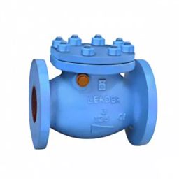 Leader 1-1/4 inch, 32 mm Ductile Iron Swing Check Valve, DI 017-picture-36